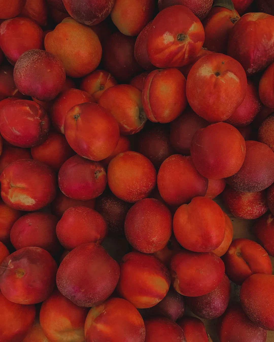 A collection of ripe red fruit