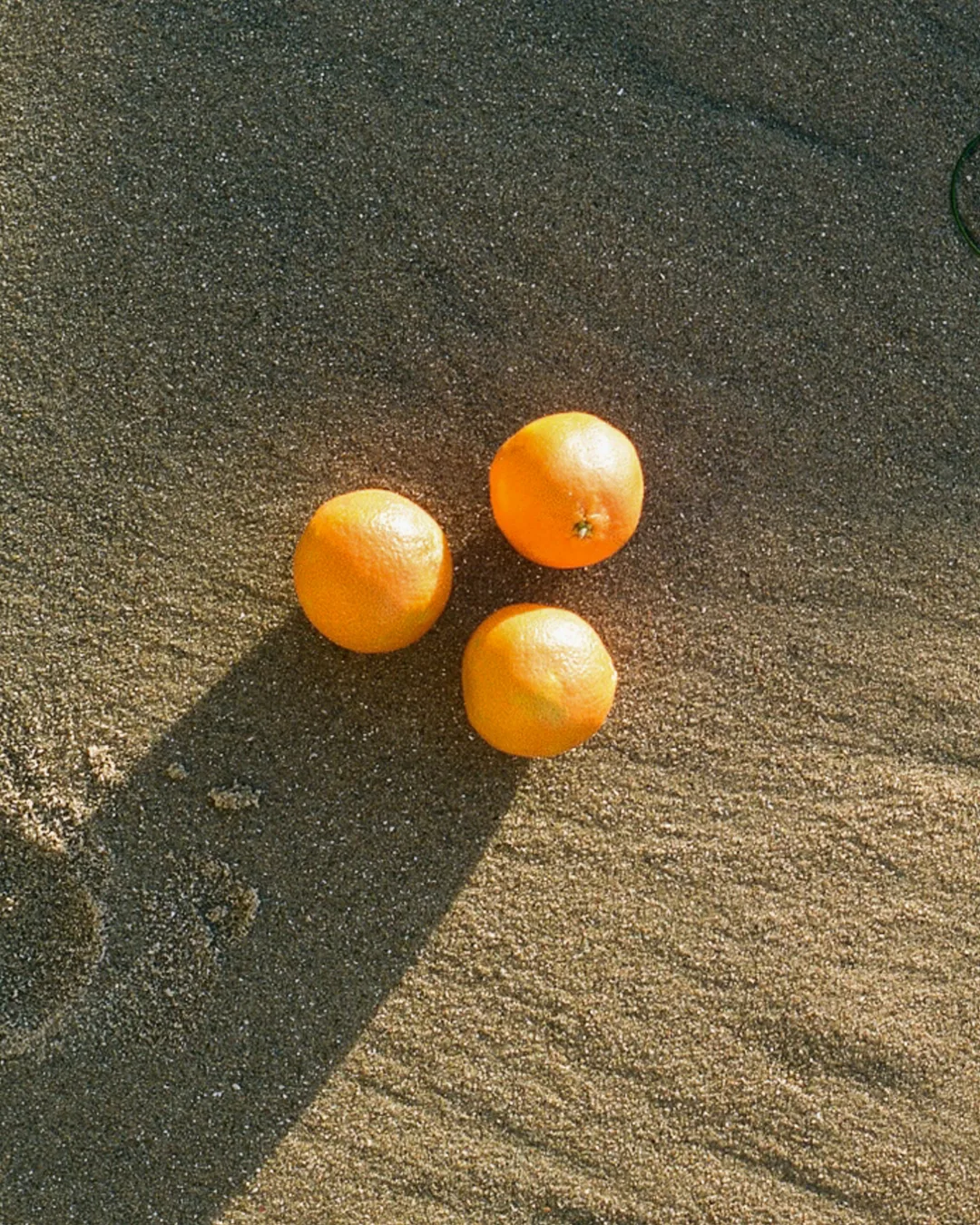 Three oranges resting on sunlit sand